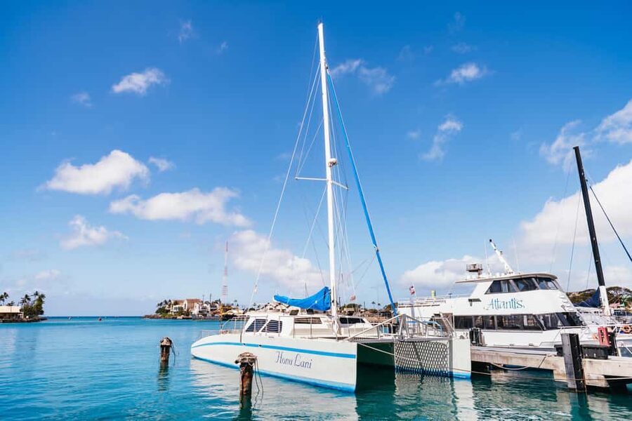 Oahu: Waikiki Turtle Snorkel Sail - Snorkeling with honu and tropical fish