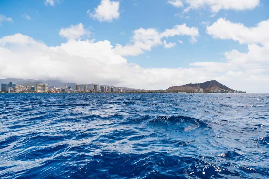 Oahu: Waikiki Turtle Snorkel Sail - What the $99 price really includes