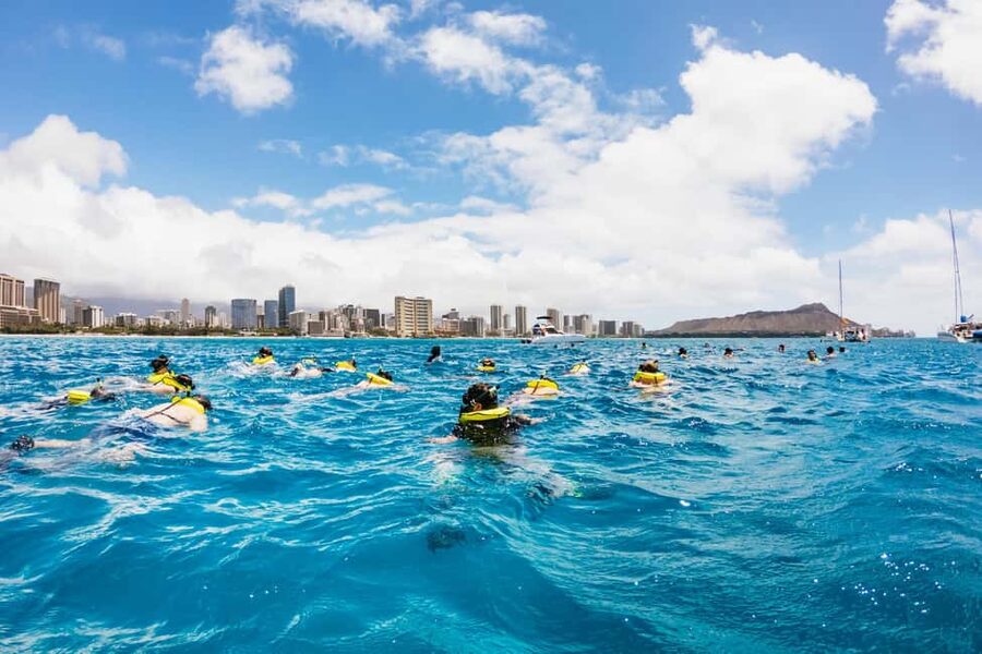 Oahu: Waikiki Turtle Snorkel Sail - Who will get the most from this catamaran trip