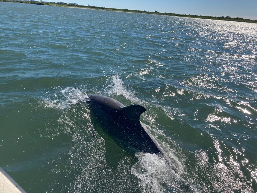 Ocean City: Sailing Catamaran Cruise with Crew - Where to sit on Alyosha