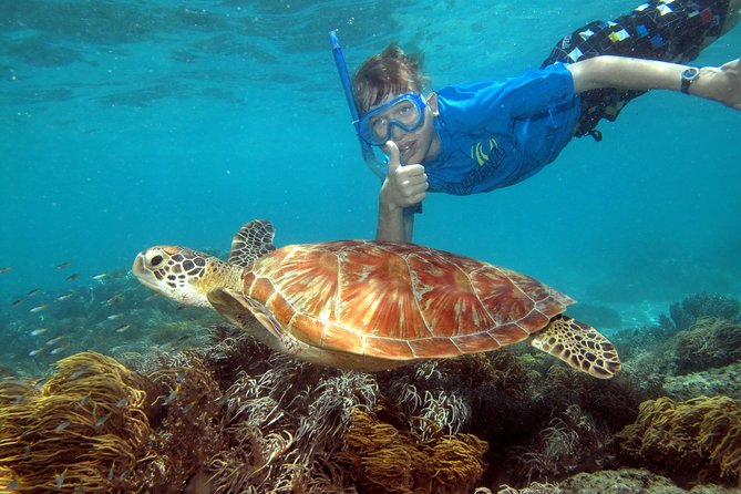 Ocean Spirit Sail to Michaelmas Cay Snorkel or Dive, from Cairns - The morning start and the two-hour ride from Cairns