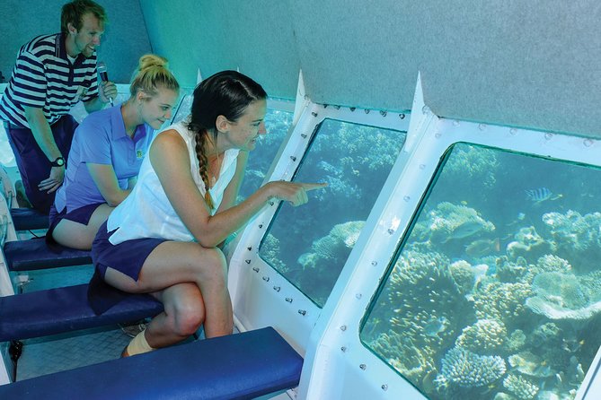 Ocean Spirit Sail to Michaelmas Cay Snorkel or Dive, from Cairns - Who will enjoy this Ocean Spirit day