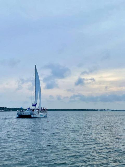 Orange Beach: Dolphin & Sailing Cruise Aboard 52' Catamaran - What the 90-minute route actually offers