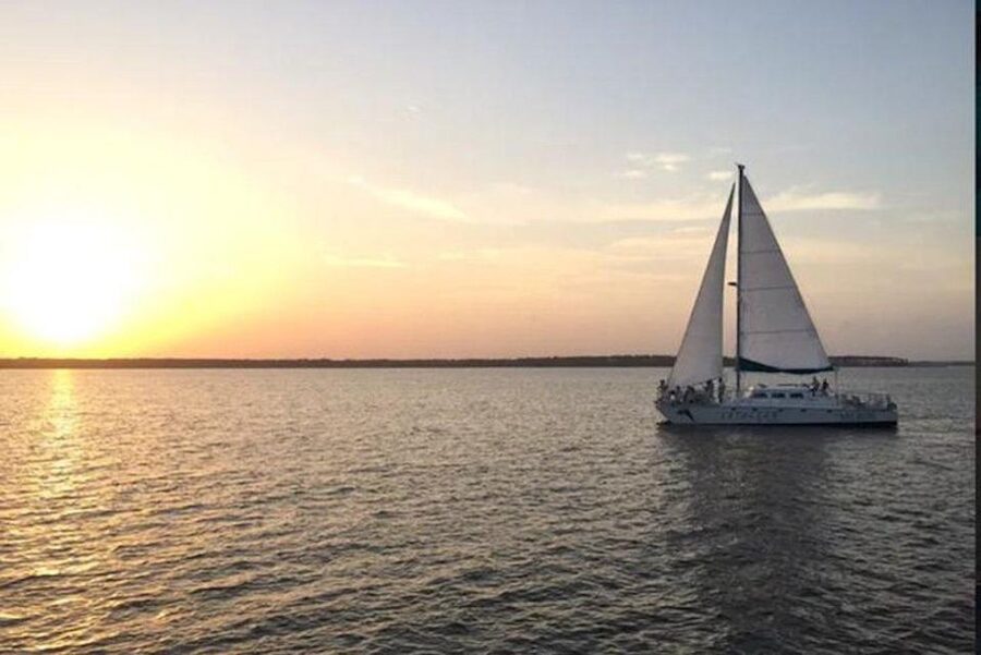 Orange Beach: Dolphin & Sailing Cruise Aboard 52' Catamaran - Wildlife watching without false promises