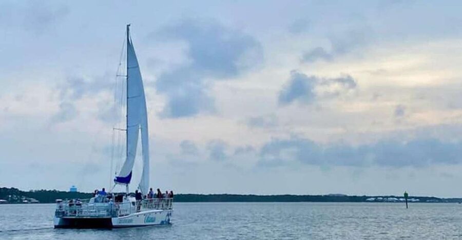 Orange Beach: Dolphin & Sailing Cruise Aboard 52' Catamaran - Is $55 a fair price?