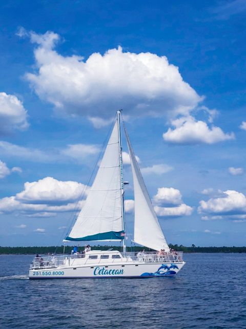 Orange Beach: Dolphin & Sailing Cruise Aboard 52' Catamaran - Why the catamaran design matters