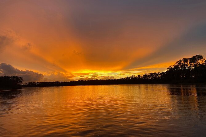 Orange Beach Sunset Sailing Cruise - Who will enjoy the Cetacean most?