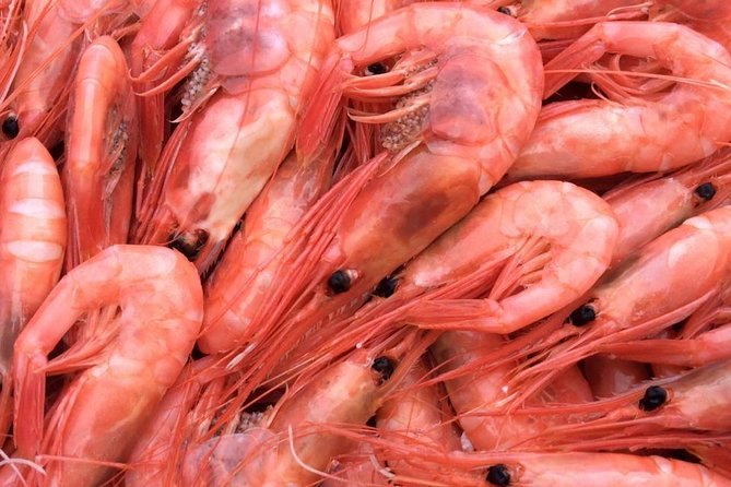 Oslo Fjord Evening Cruise with Shrimp Buffet on a Sailing Ship - Who should book this evening cruise?