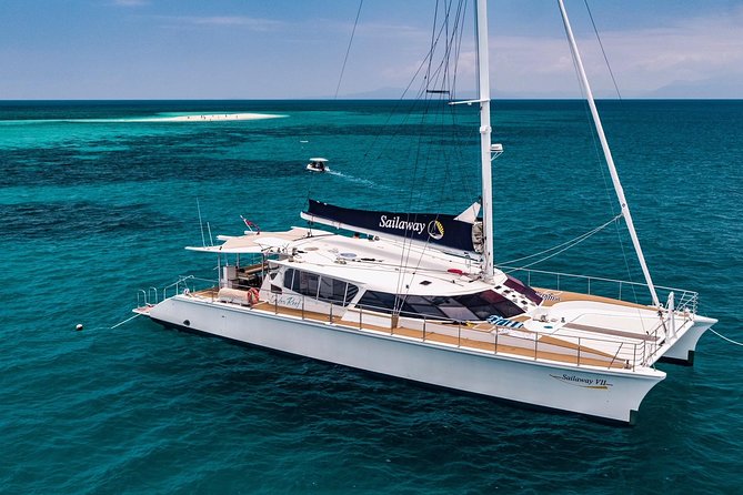 Outer Reef Mackay Cay Sail & Snorkel Adventure from Port Douglas - Snorkeling above coral, fish, and giant clams