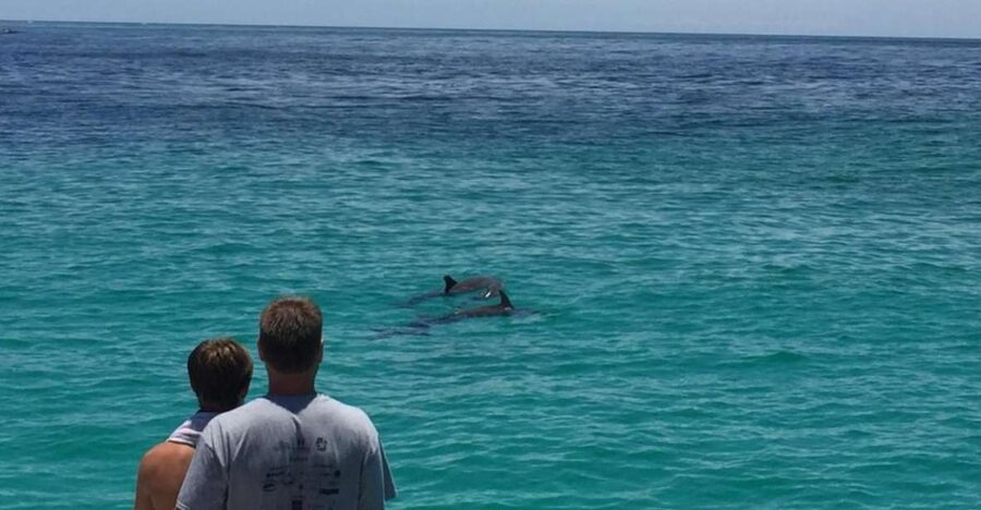 Panama City Beach: Dolphin Sightseeing Sail on the Footloose - A calm start from Panama City Beach