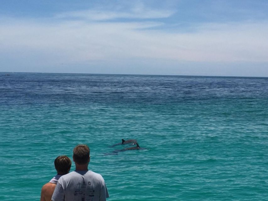 Panama City Beach: Dolphin Sightseeing Sail on the Footloose - Who will enjoy this dolphin sail?