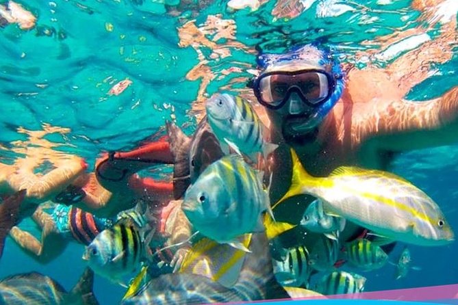 Party On Sailing Cruise to Isla Mujeres from Cancun - Downtown Isla Mujeres and the limits of island time