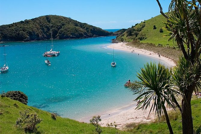 Phantom Sailing Bay of Islands - Swimming, snorkeling, and time to slow down