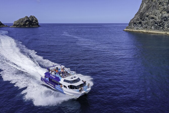 Phantom Sailing Bay of Islands - Who will enjoy Phantom Sailing most