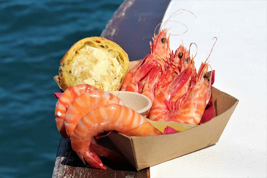 Port Douglas: Shaolin Seafood Lunch Sail, with Fresh Prawns - Who should book this cruise?