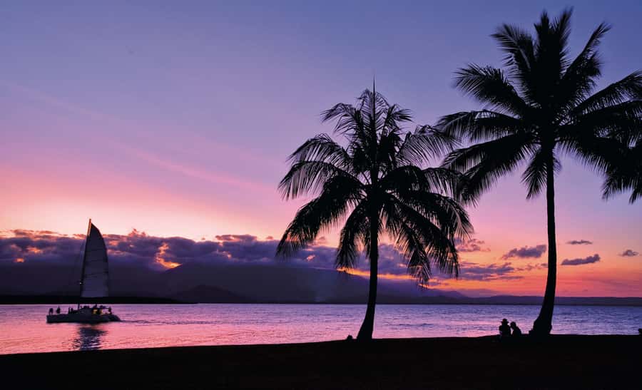 Port Douglas: Sunset Sailing Cruise on Luxury Catamaran - Should You Book the Port Douglas Sunset Sail?
