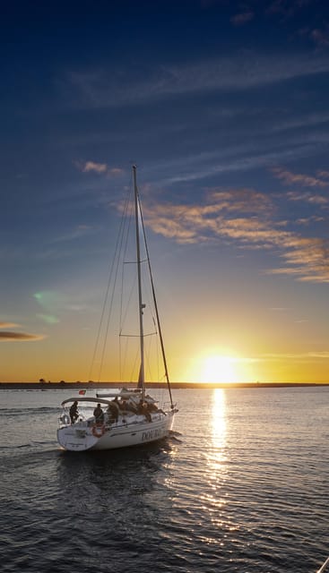 Porto: Charming Sailboat Cruise with Port Wine,Sunset Option - Alfândega and the Palácio de Cristal gardens