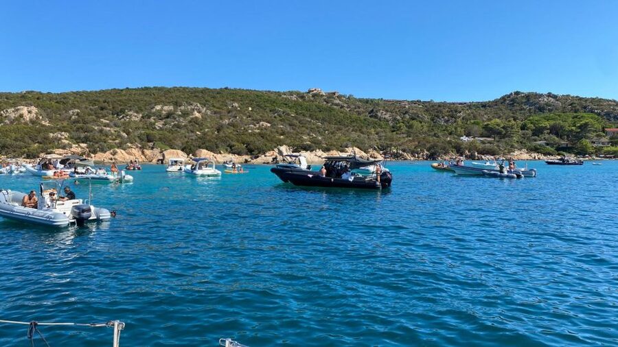 Porto San Paolo: Tavolara Island Sailboat Cruise with Lunch - Should you book the Tavolara sailing cruise?