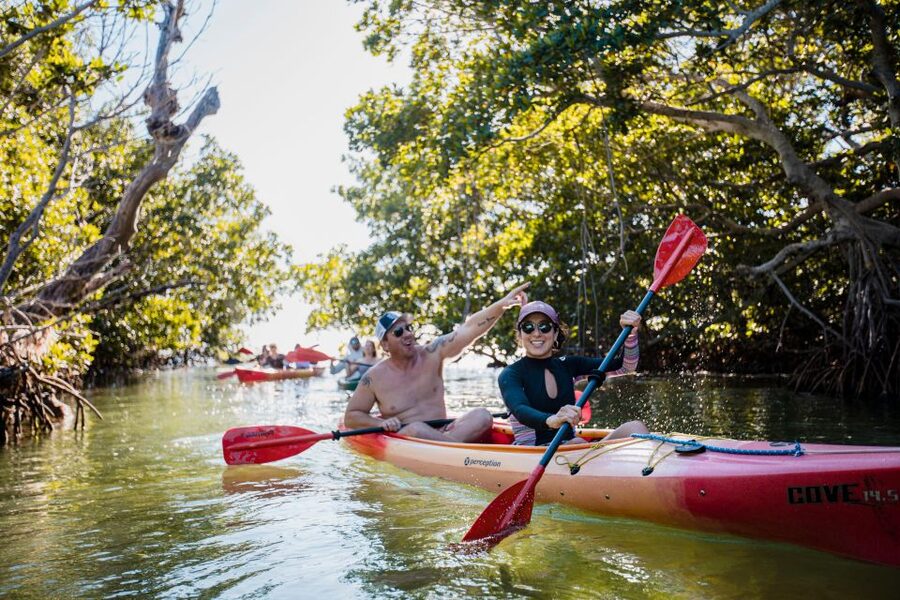 Premium Day Sail, Snorkel &, Kayak with Lunch - Kayaking through mangrove channels