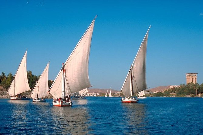 Private 1-Hour Felucca Sailing and Botanical Garden In Aswan - Thirty minutes in Aswan Botanical Garden