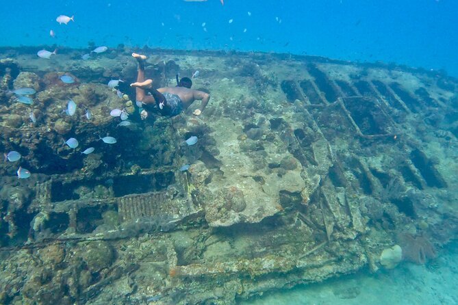Private catamaran sail & snorkel - A private Barbados boat trip instead of a party cruise