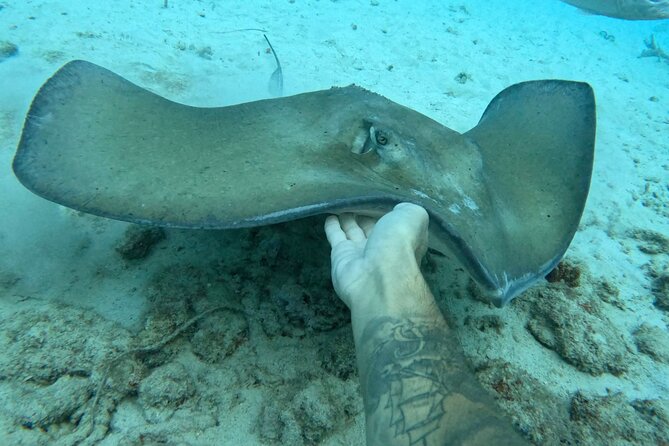 Private catamaran sail & snorkel - Snorkeling over reefs, wrecks, and turtle habitat