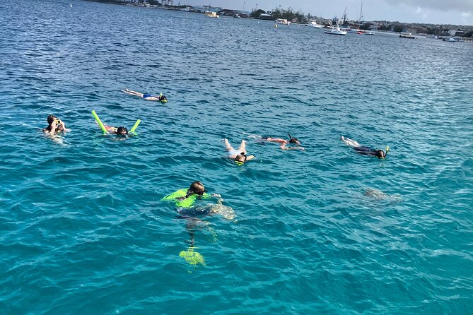 Private catamaran sail & snorkel - Meeting the crew near Holetown