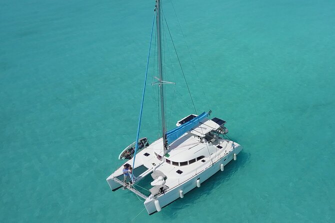 Private Catamaran Swim sail snorkel cliff jumping SUP - A private way to see Bermuda from the water
