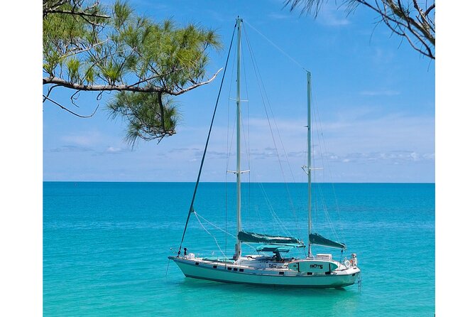 Private Catamaran Swim sail snorkel cliff jumping SUP - Snorkeling, SUP, and the crystal kayak