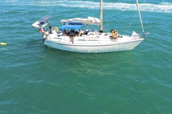 Private Discovery of the Camargue by Sail - A sandbar stop makes lunch part of the experience