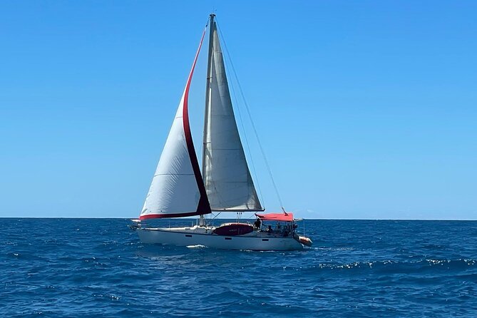 Private full day excursion sailing through Ibiza and Formentera - Why this private boat day feels different