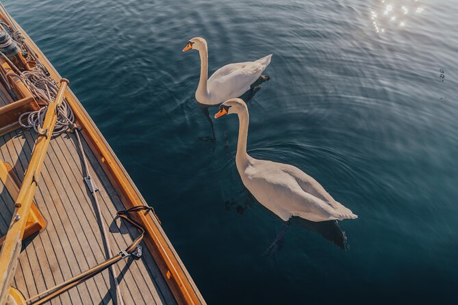Private Guided Sailing Boat Tour on Lake Como with Aperitif - Key points to know before you book