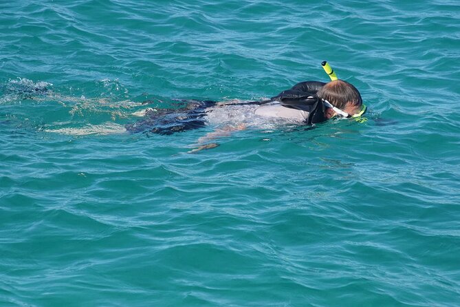 Private Half-Day Sailing and Snorkeling Tour - Should you book the Fajardo sailing tour?