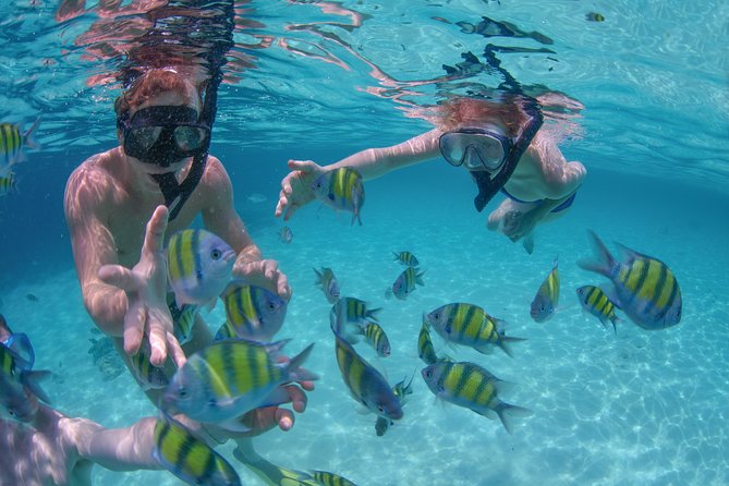 Private Luxury Sailing Cruise in Los Cabos with Lunch and Open Bar - Appetizers, wind, and the open water