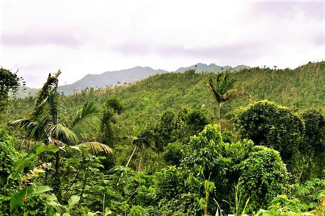 Private “Sail & Hike” Tour of Grenada - Concord Falls and the Fountain Blue swim