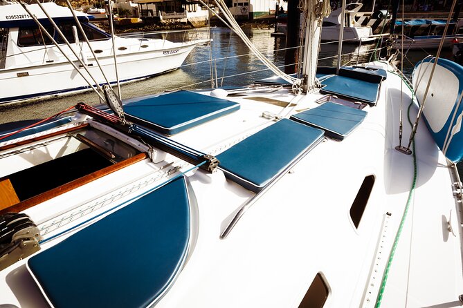 Private Sailboat tour in Cabo San Lucas with Papillon Yachts - Is the $800 price a good value?
