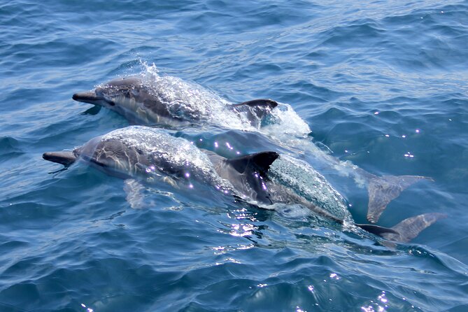 Private Sailing Cruise to Dia Island with Meal & Water Activities - Should you book the Dia Island sailing cruise?