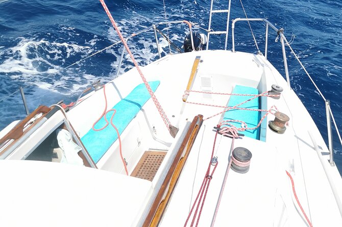 Private sailing excursion & Provencal picnic - A Provençal picnic with anchovy sauce and rosé