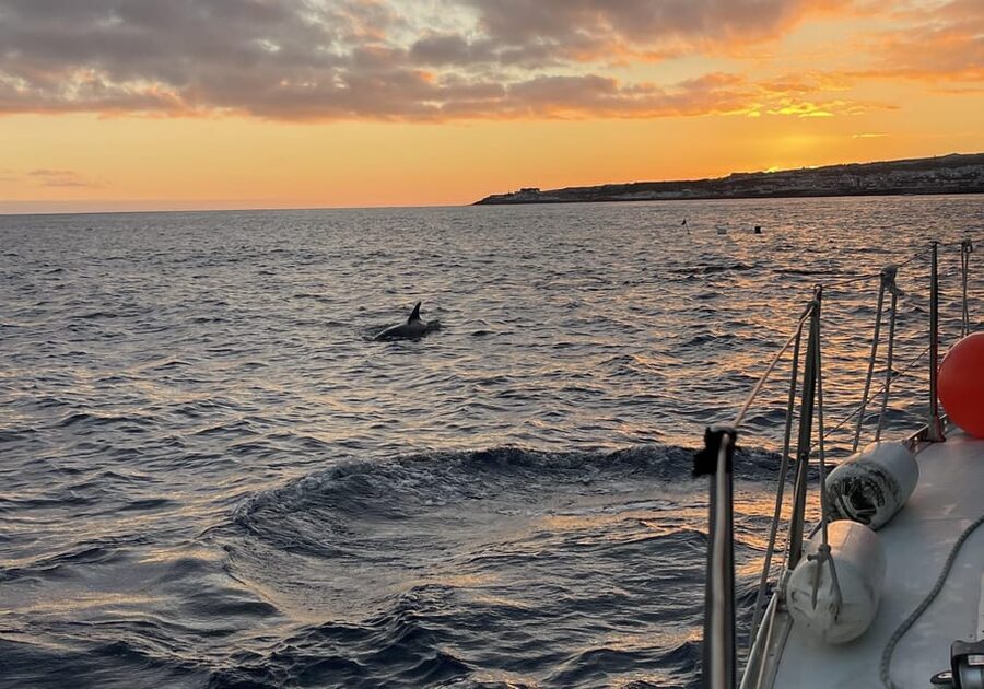 Private Sailing Sunset Tour PDL - Sunset from the Atlantic