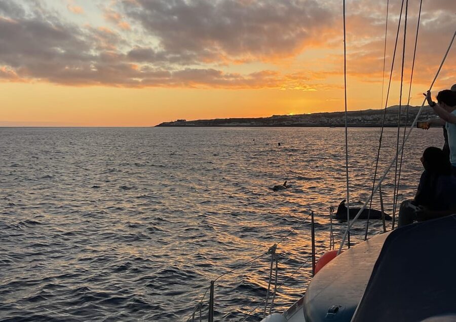Private Sailing Sunset Tour PDL - Who should book this sunset sail?