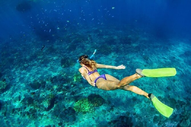Private Sailing Tour in Rhodes - The crew and the little touches