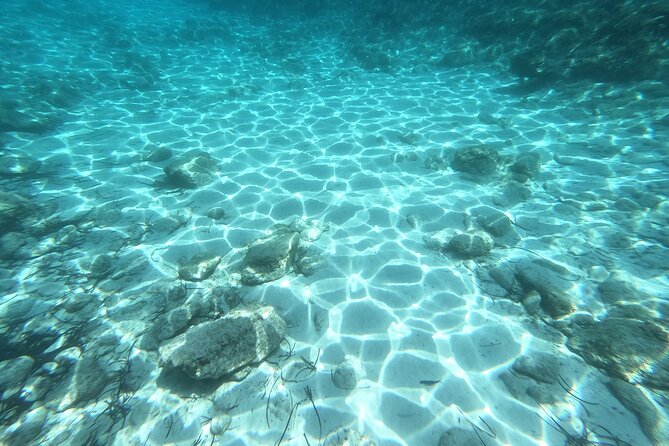 Private Sailing Tour with Snorkeling in Hvar Pakleni Islands - Palmižana: famous, social, and often crowded