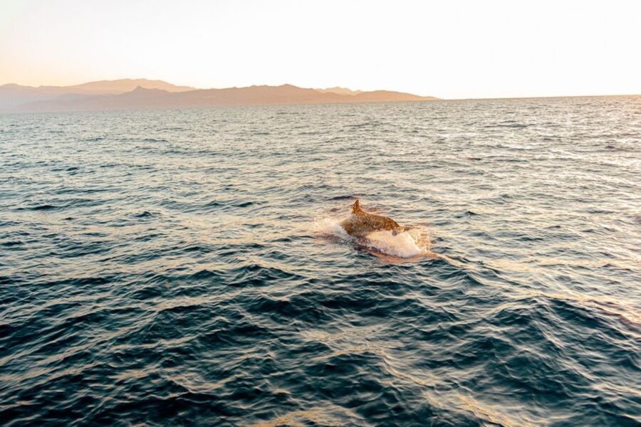 Private Sailing Trip from Heraklion to Dia island - Sailing north with Heraklion behind you