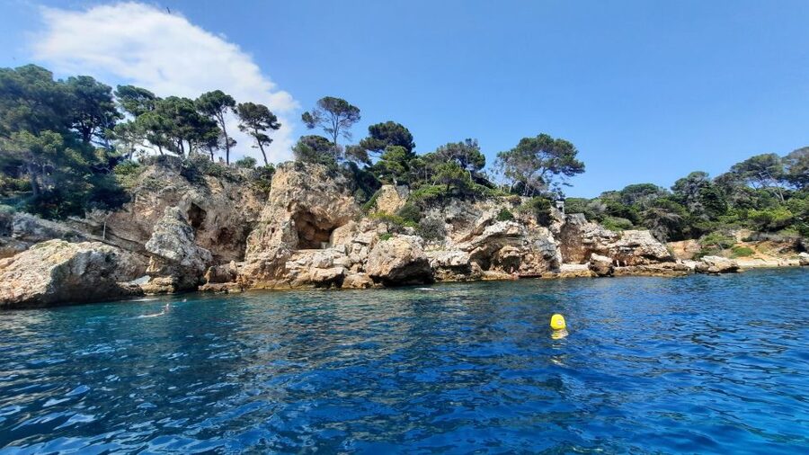 Private tour on a sailboat - Swim and paddle - Antibes Cape - Should you book this Cap d’Antibes cruise?