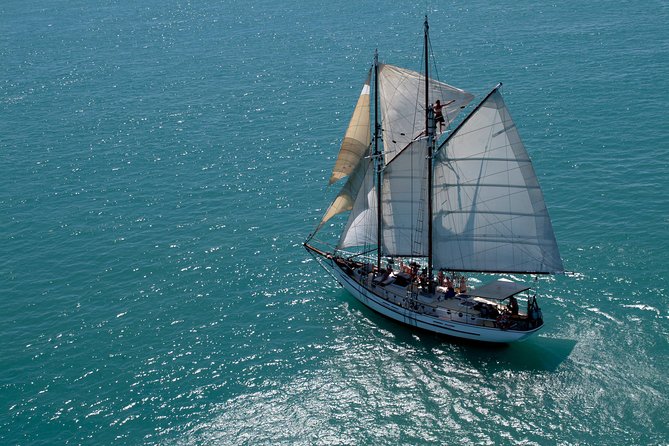 Providence Whitehaven Beach Sailing and Snorkeling Cruise - Whitehaven Beach gives you about an hour to explore