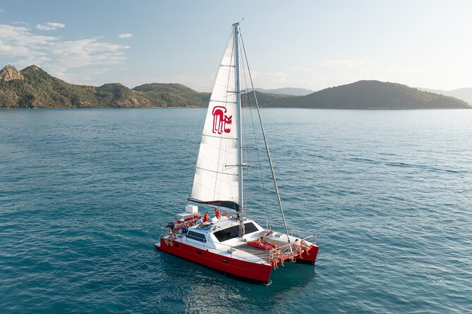 Providence Whitehaven Beach Sailing and Snorkeling Cruise - Snorkeling in Whitsunday Islands National Park