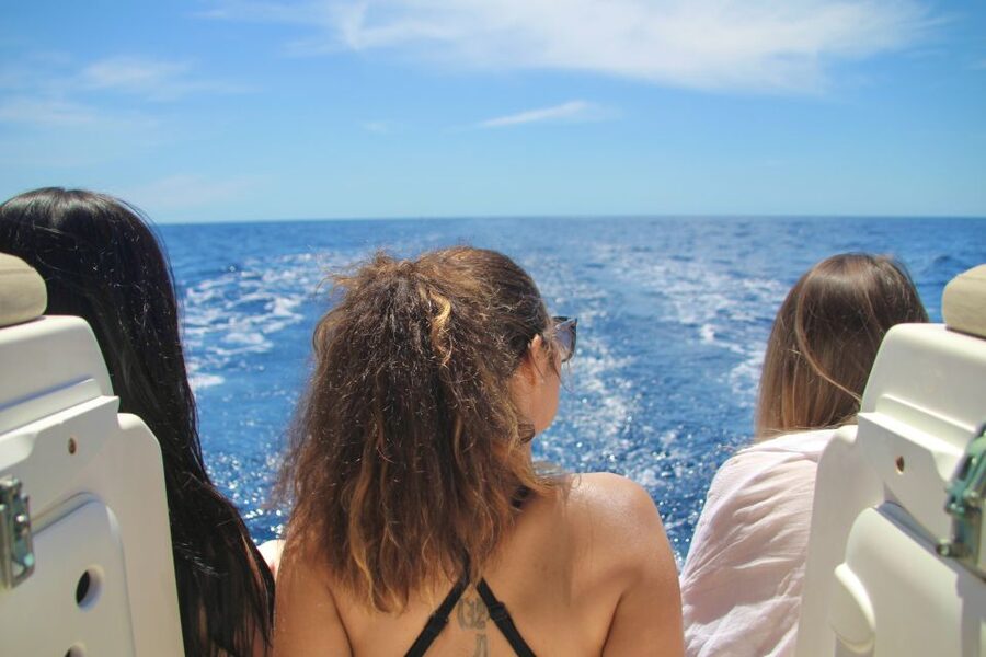 Puerto Colon : Whale & Dolphins Sailing Excursion - Key points to know before booking