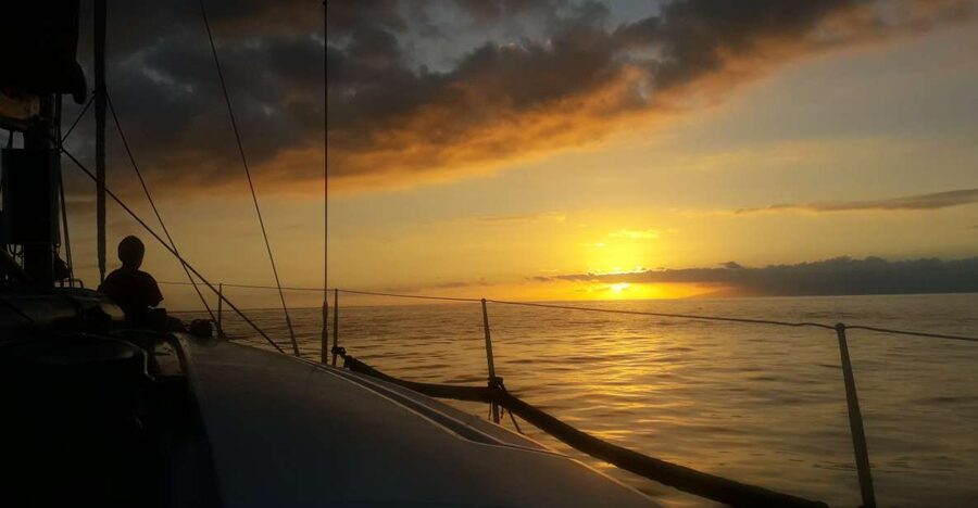 Puerto Colon: Whale-Watching Sailing Tour with Meal & a Swim - Key points to know before you book