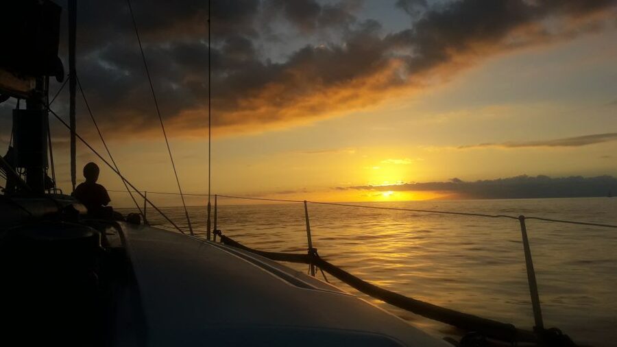 Puerto Colon: Whale-Watching Sailing Tour with Meal & a Swim - Leaving Puerto Colón aboard Mola Mola 2