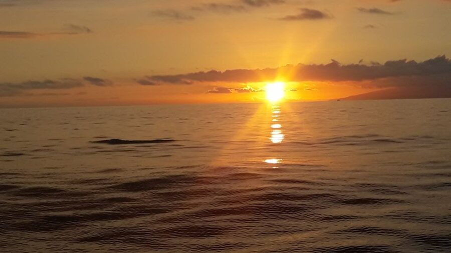 Puerto Colon: Whale-Watching Sailing Tour with Meal & a Swim - A captain-led outing with a personal feel